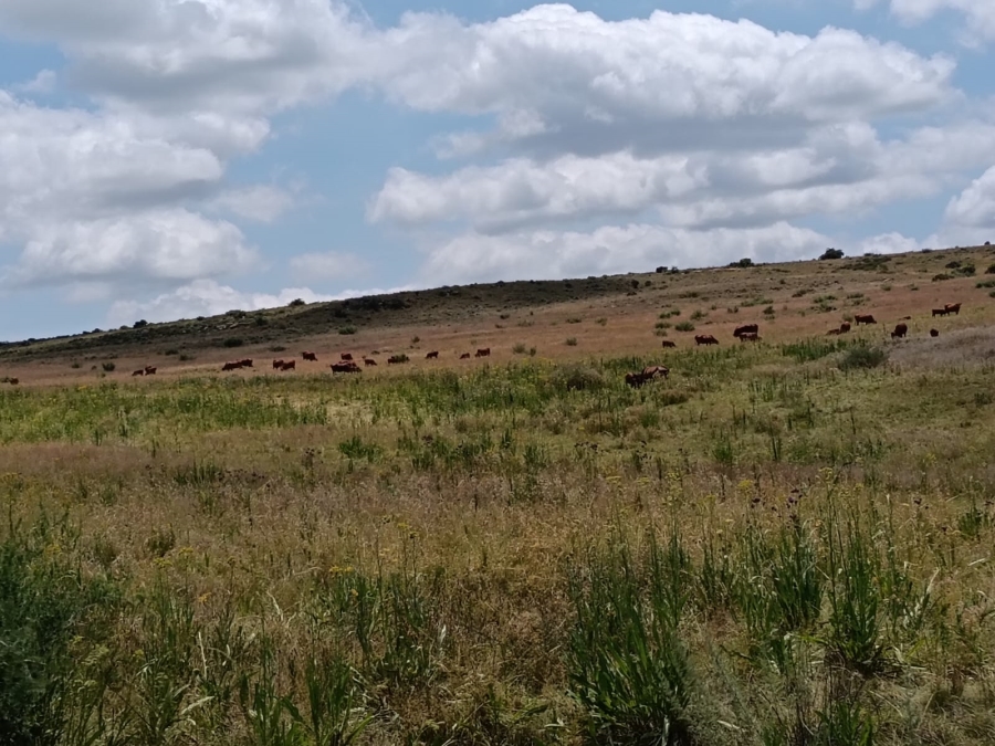 0 Bedroom Property for Sale in Lindley Rural Free State